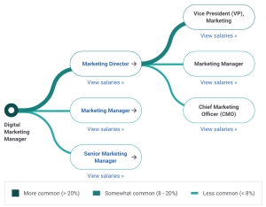 Digital marketing career in india