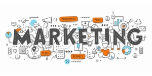 Digital marketing career in india