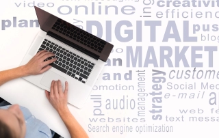 experience in digital marketing