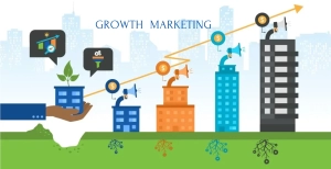 Growth Marketing The Key to No