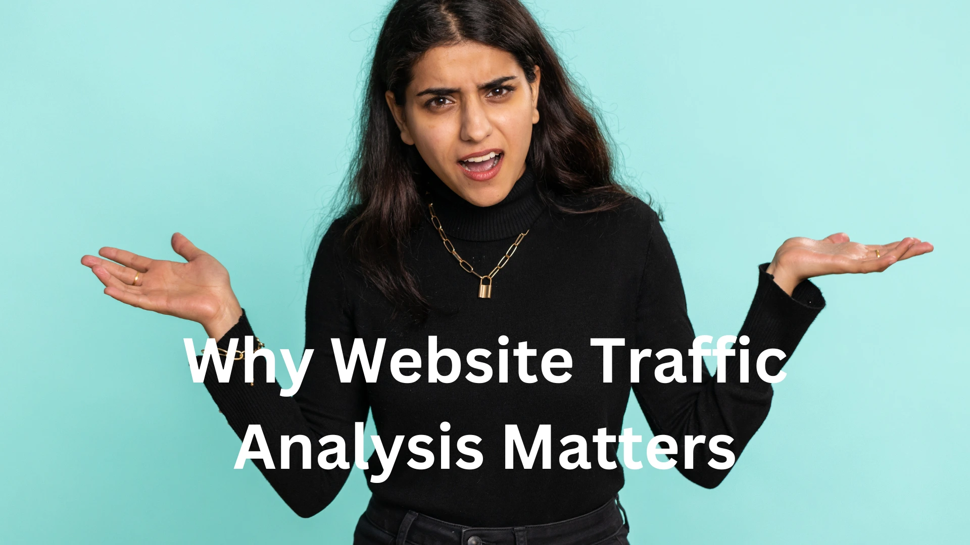 website traffic analysis